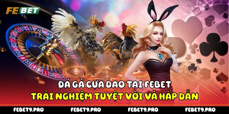 Đá Gà Cựa Dao Tại Febet - Trải Nghiệm Tuyệt Vời Và Hấp Dẫn