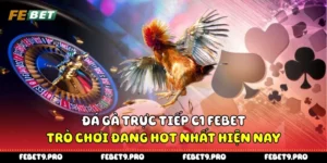 Đá Gà Trực Tiếp C1 Febet - Trò Chơi Đang Hot Nhất Hiện Nay