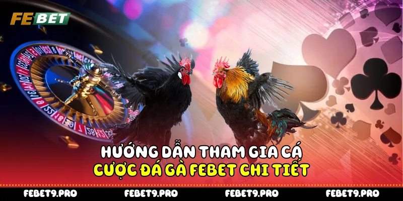 Hướng dẫn tham gia cá cược đá gà Febet chi tiết