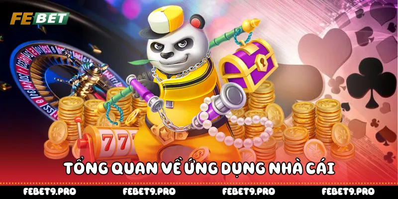 Tổng quan về ứng dụng nhà cái